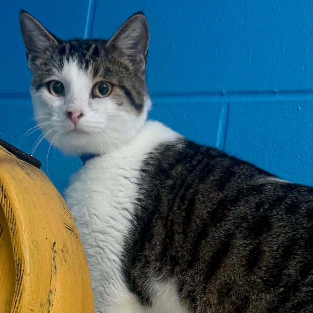 Axel — thumbnail 2