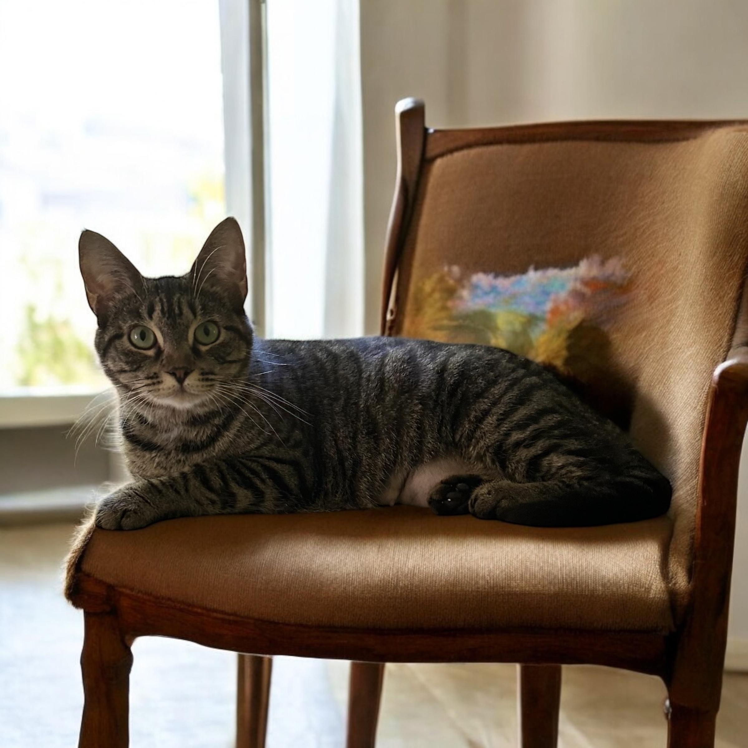 Anneliese photo 2