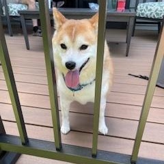 Rena - Home Visit in Process