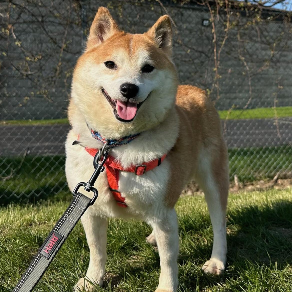 Rena - Home Visit in Process