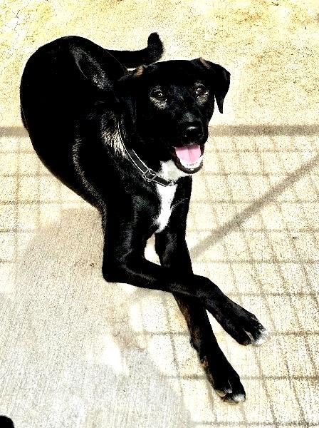 Jasper * OK photo 3