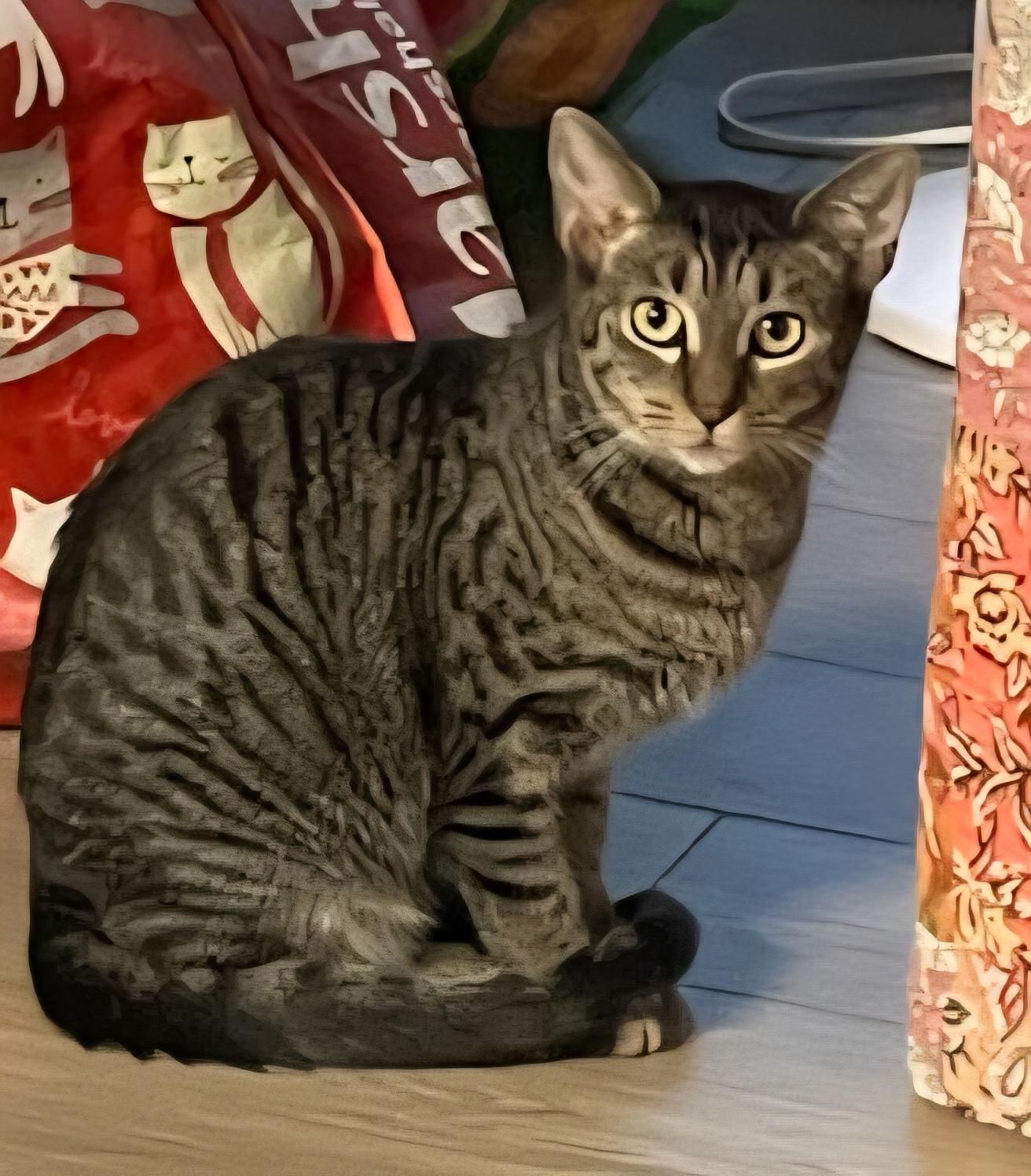 Aurora, Young Female unknown