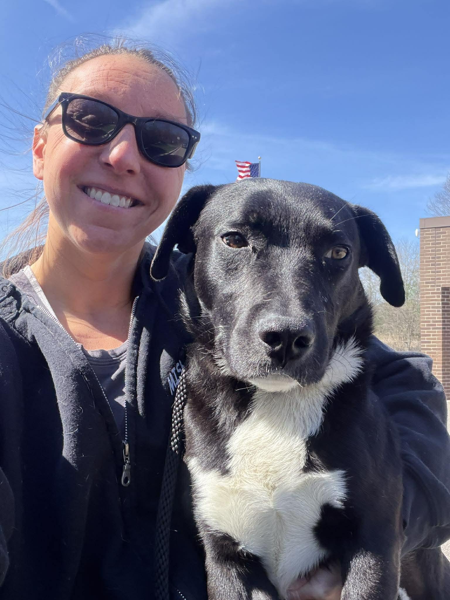 Enlarge Nameless Joe, a Hold mixed breed in St. Clair Shores, MI image 1/2