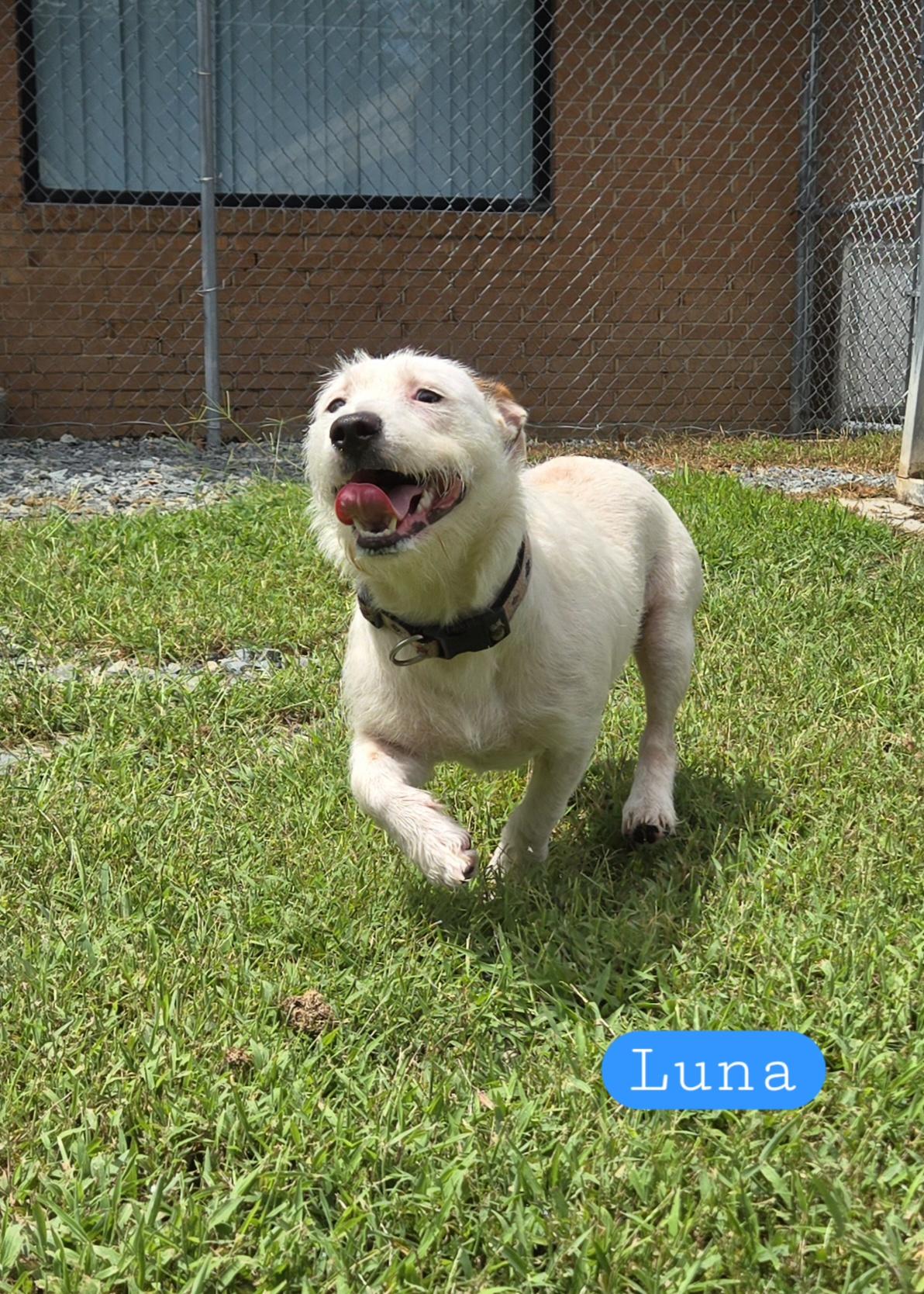 Luna