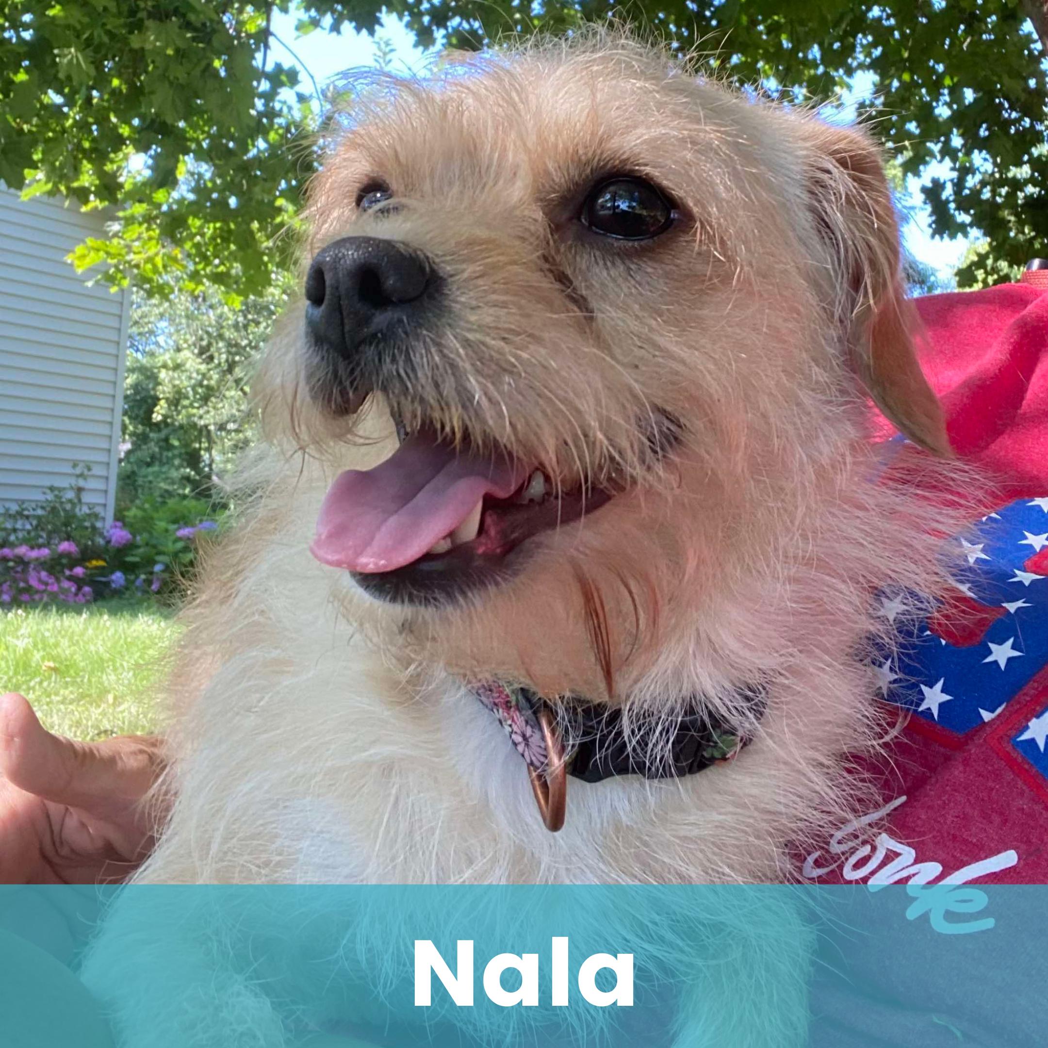 Nala