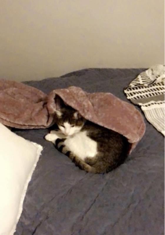 Fiona - Courtesy Post