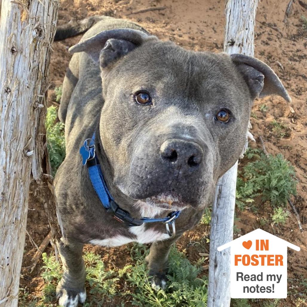 Fender — thumbnail 2