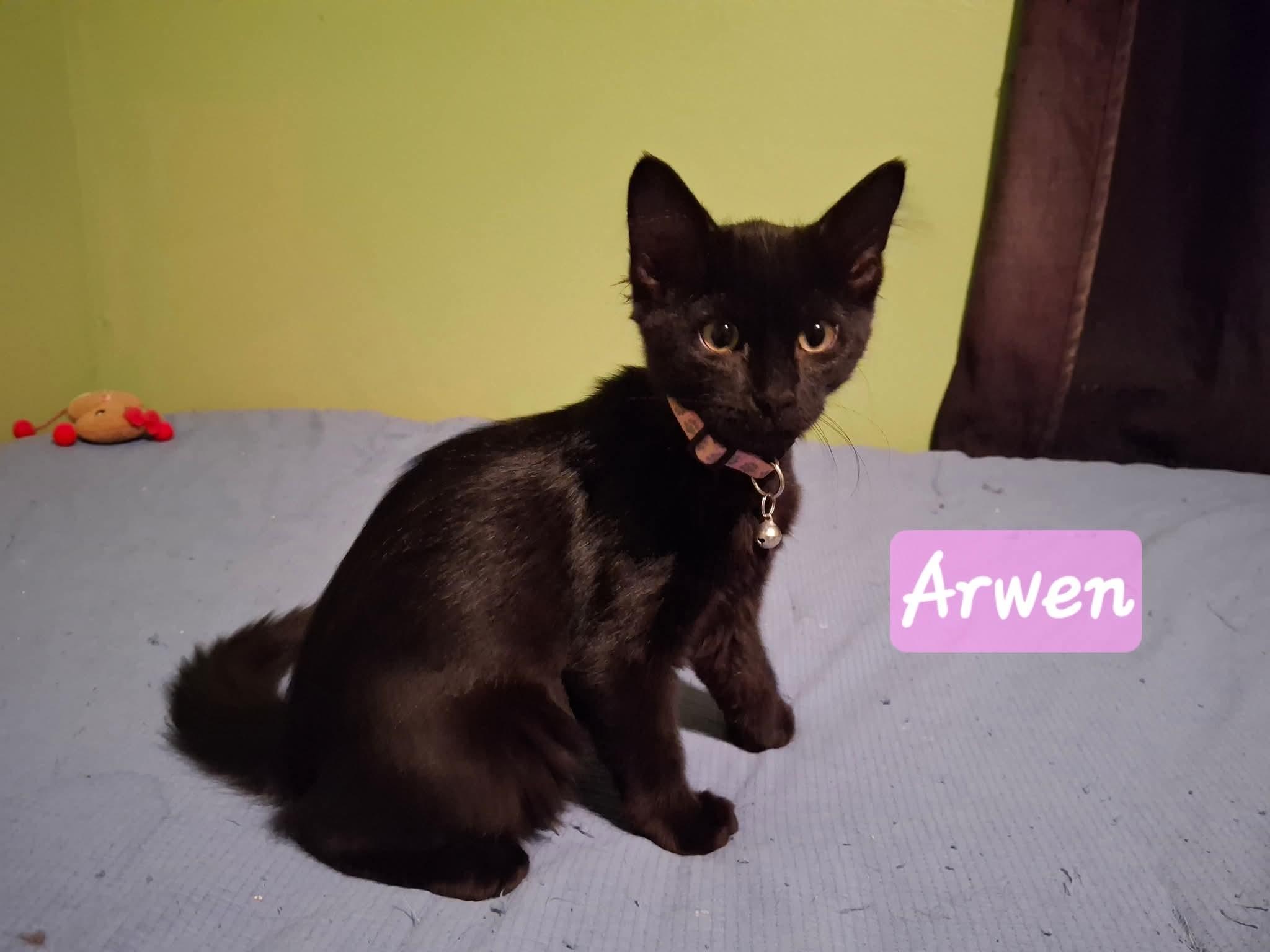 Arwen