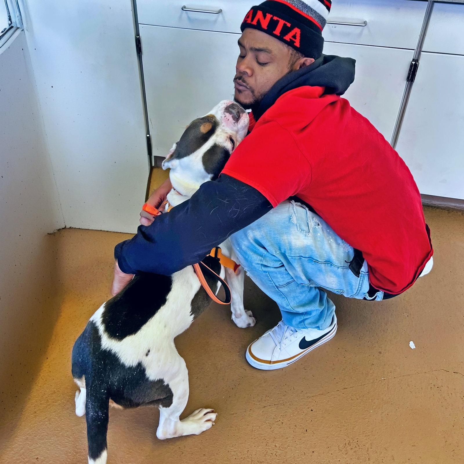 Enlarge Peppa, a Adoptable American Bulldog in Atlanta, GA image 1/3