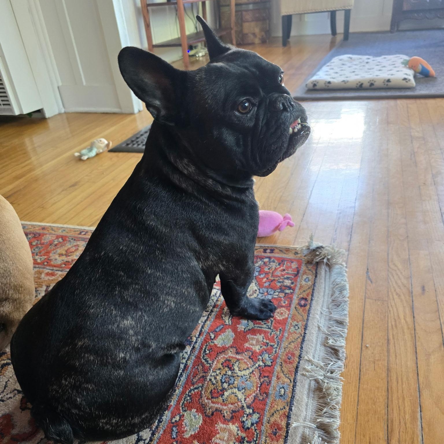 Betty