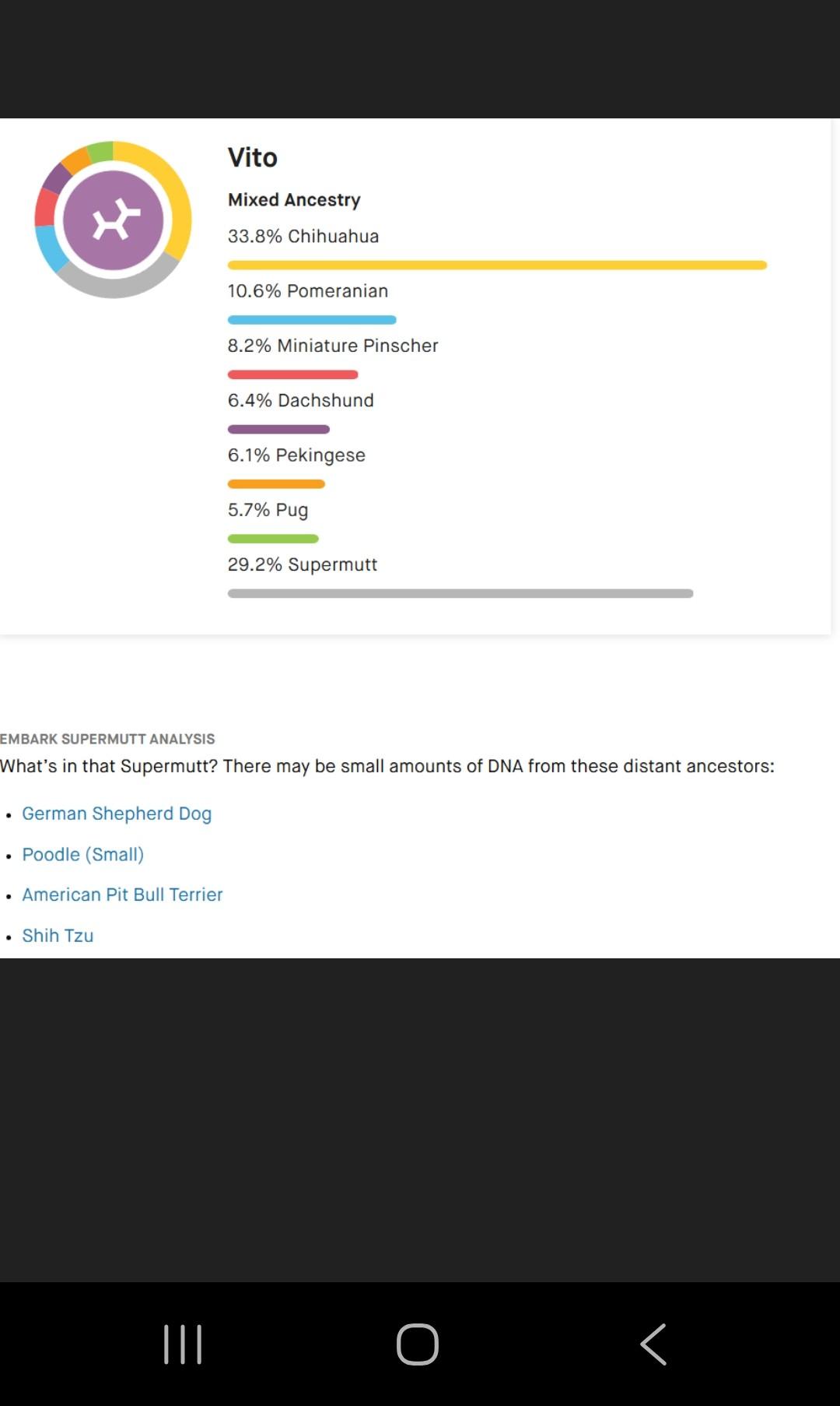 Enlarge Vito, a Adoptable mixed breed in Union Gap, WA image 2/6