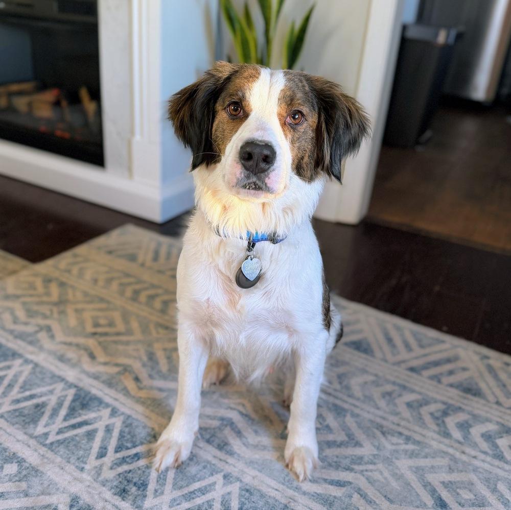 Josie — thumbnail 4