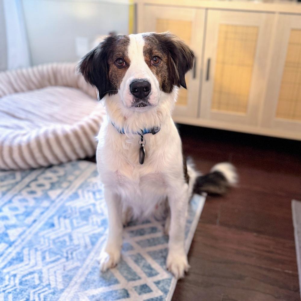 Josie — thumbnail 5