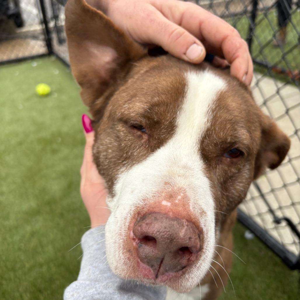 Coconut — thumbnail 4