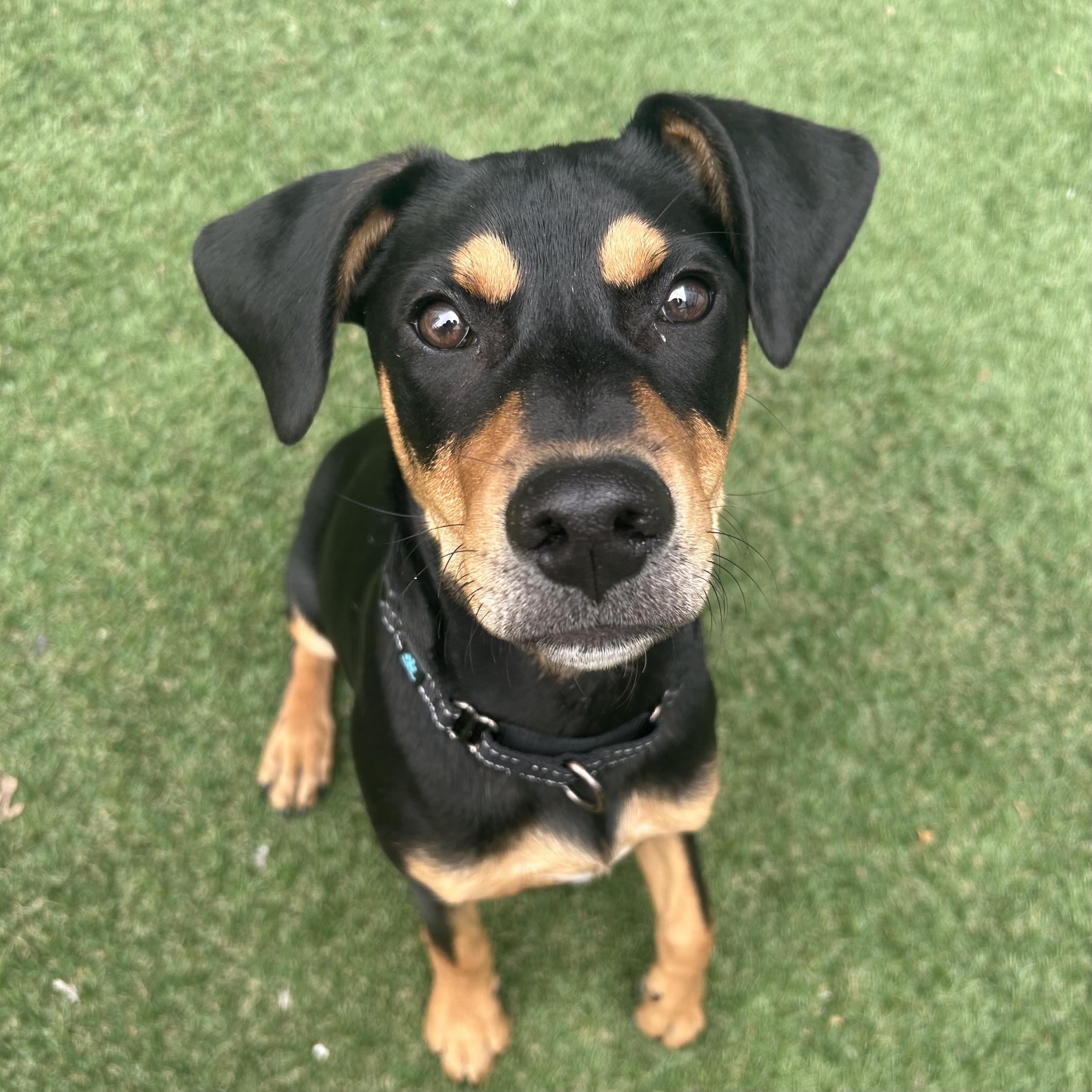 Trick — thumbnail 2