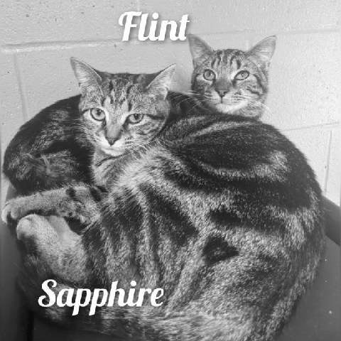 Flint