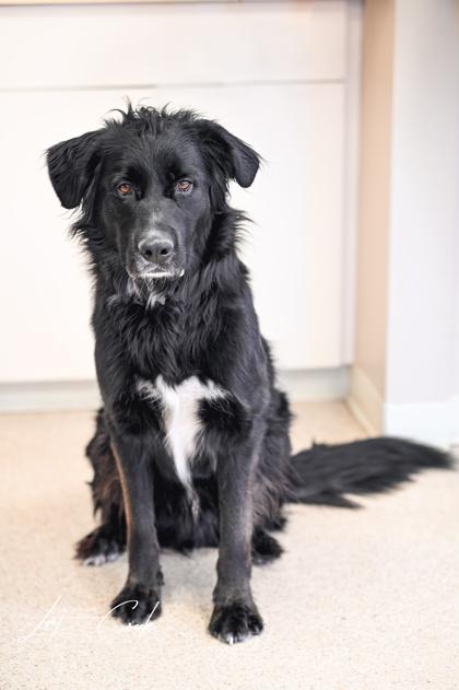 Leo `Moose` — thumbnail 2