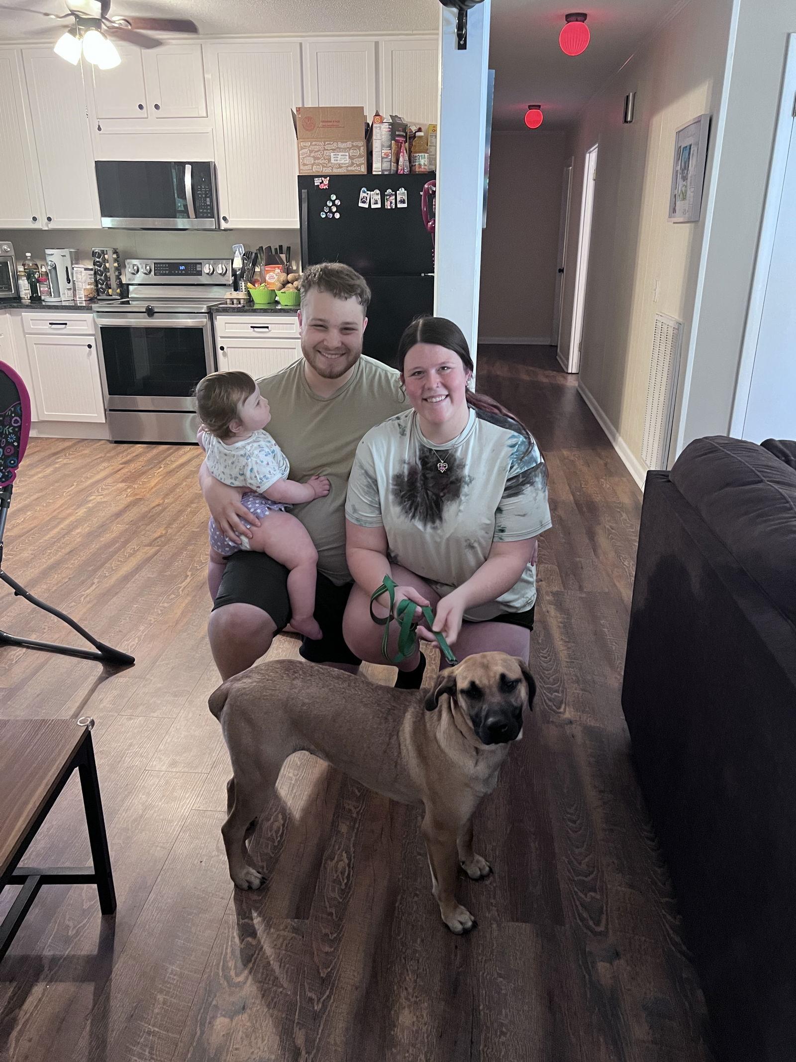 Tiffany, Adopted, Young Female Labrador Retriever & Black Mouth Cur.