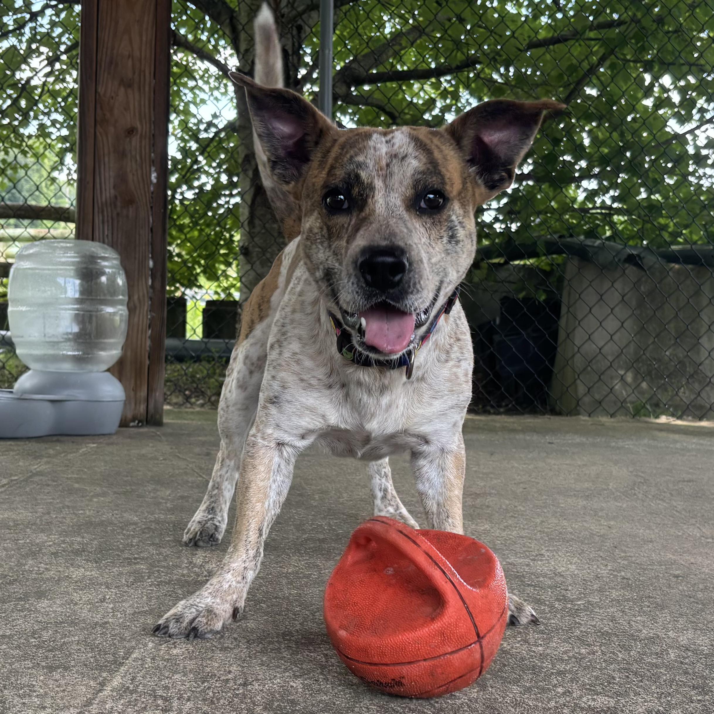 Benny