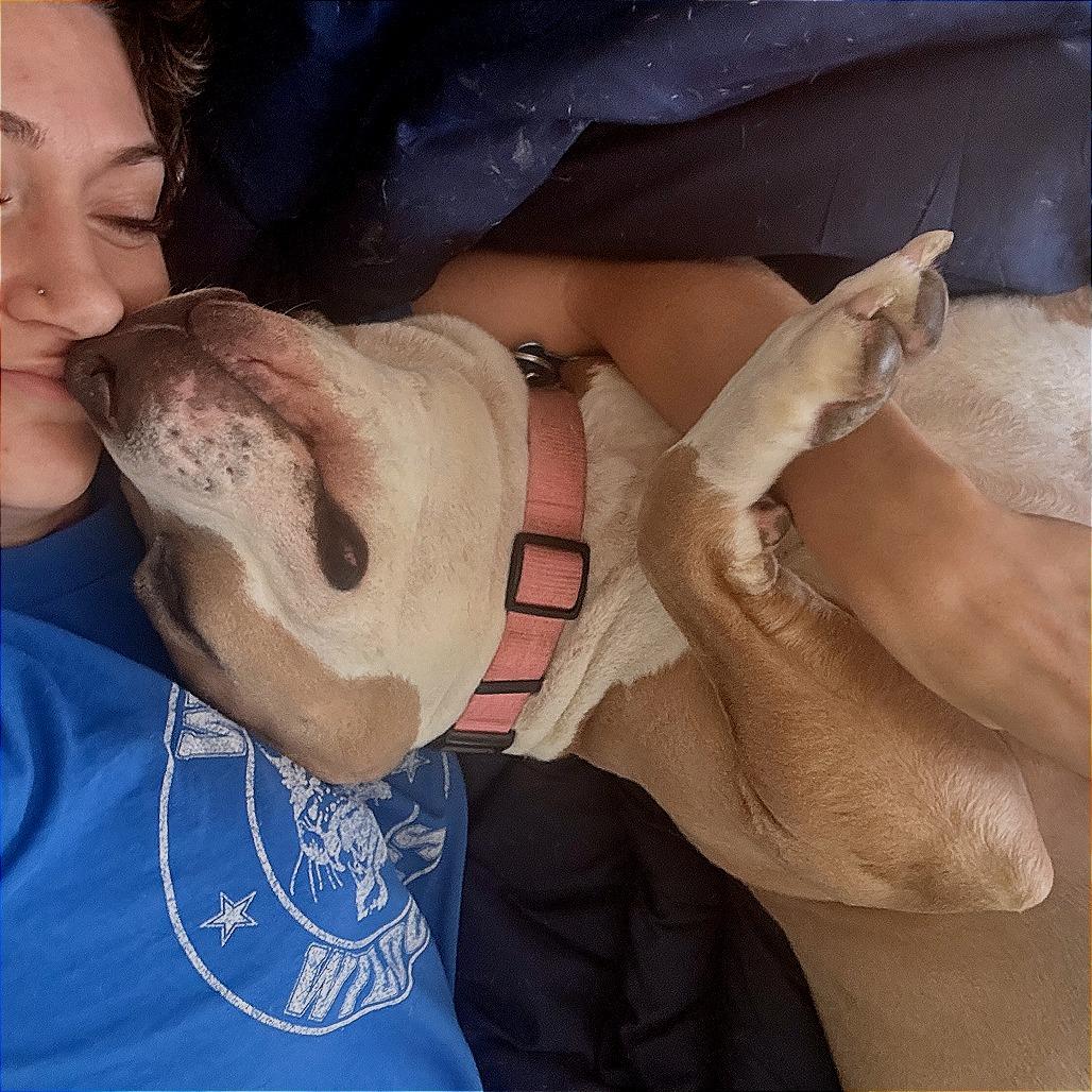 Almond Joy, Adoptable, Adult Female Pit Bull Terrier.