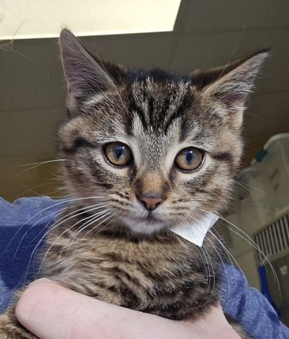 Harry  I Am thumbnail 2