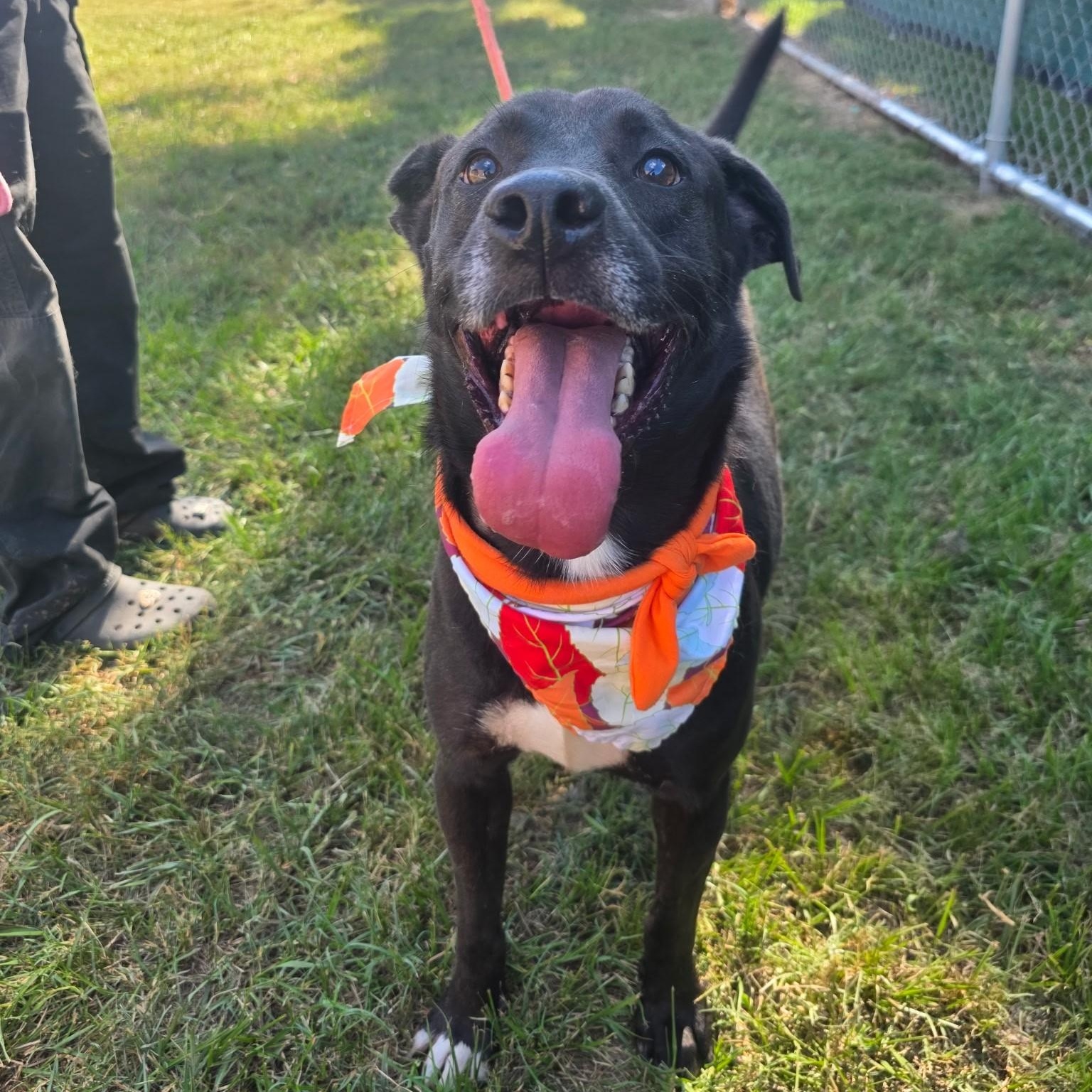 Randall Raisin — thumbnail 5