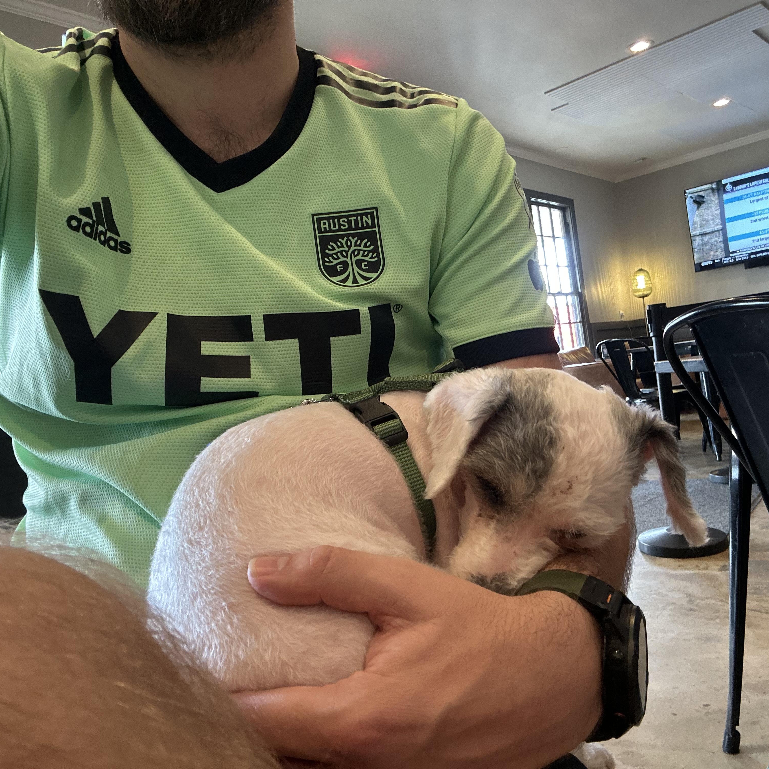 Enlarge Cleo, a ADOPTABLE mixed breed in Austin, TX image 6/6