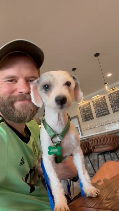 Enlarge Cleo, a ADOPTABLE mixed breed in Austin, TX video 2/6