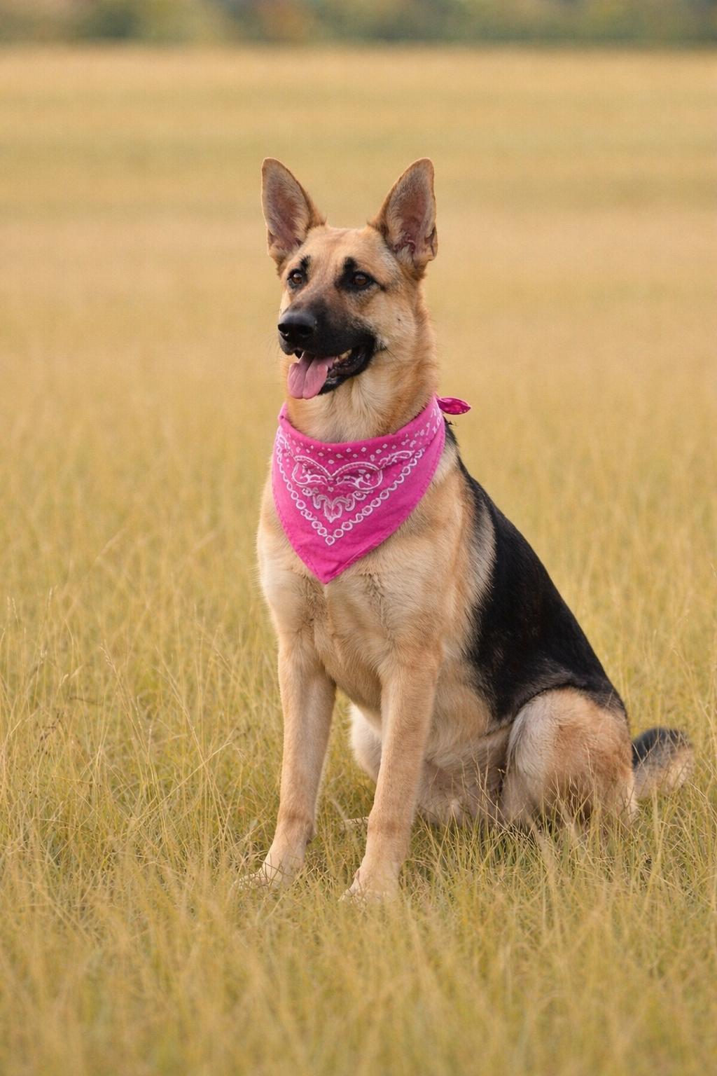 RORY GS — thumbnail 3