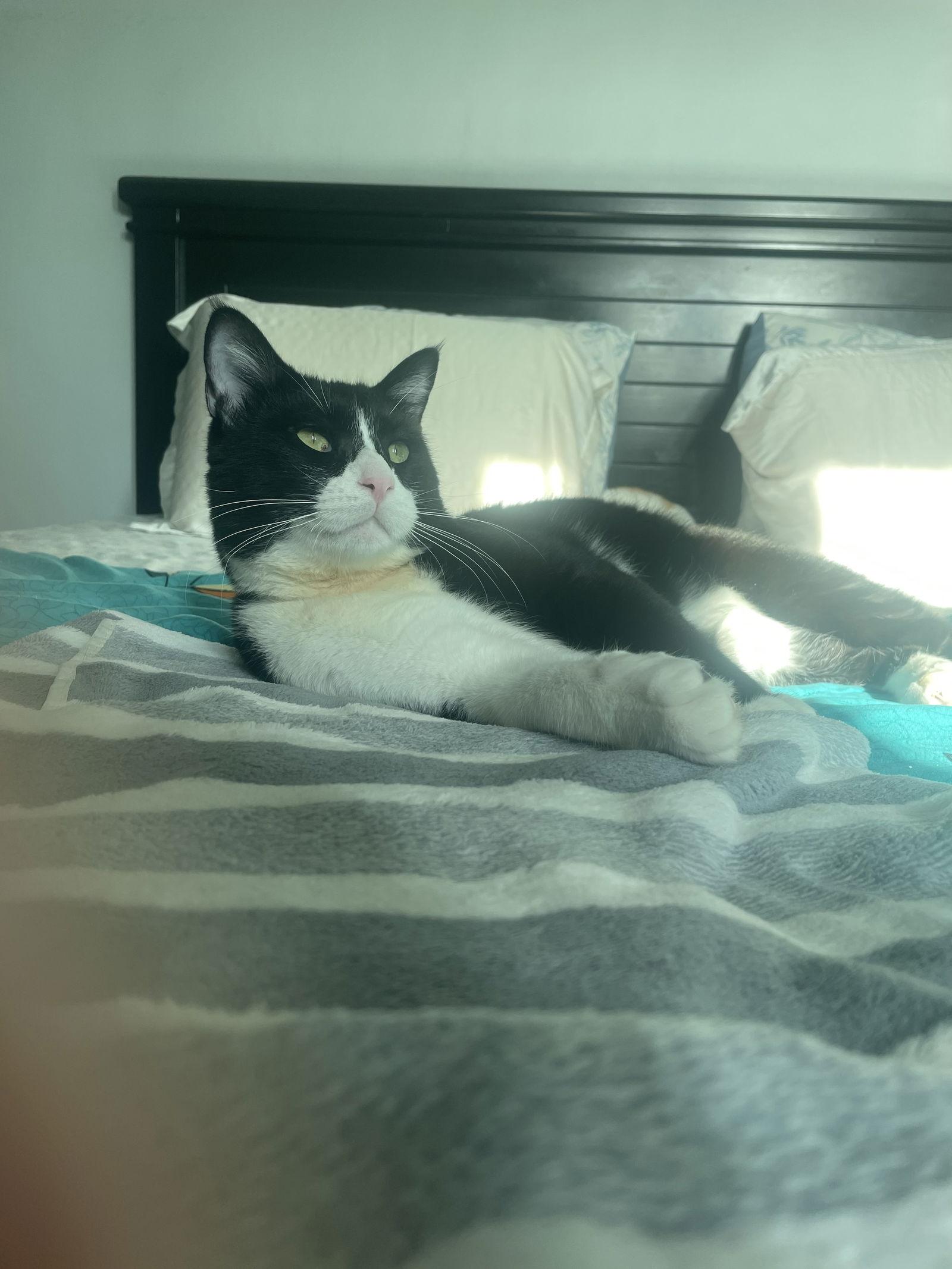 Kevin — thumbnail 2