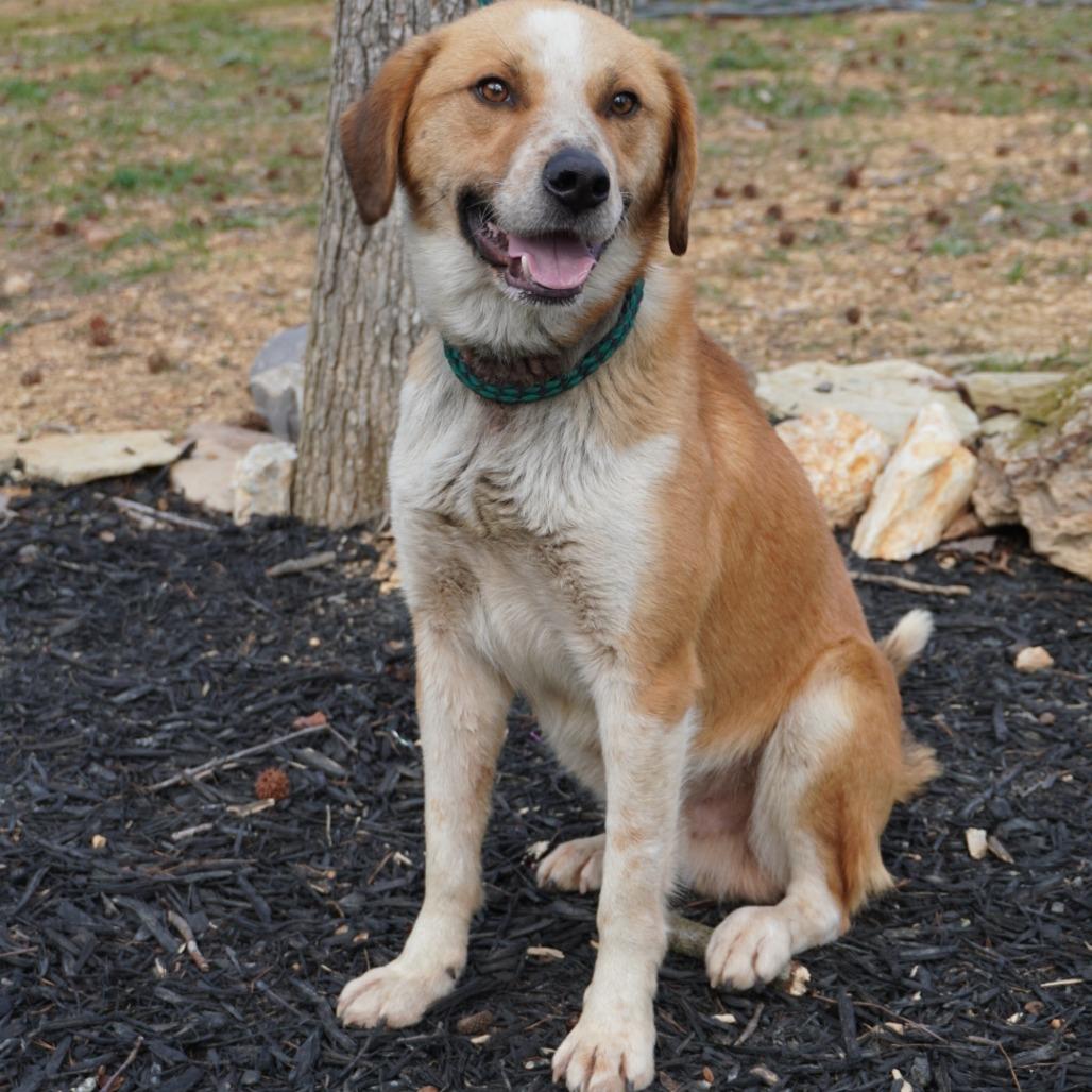 Morgan — thumbnail 2