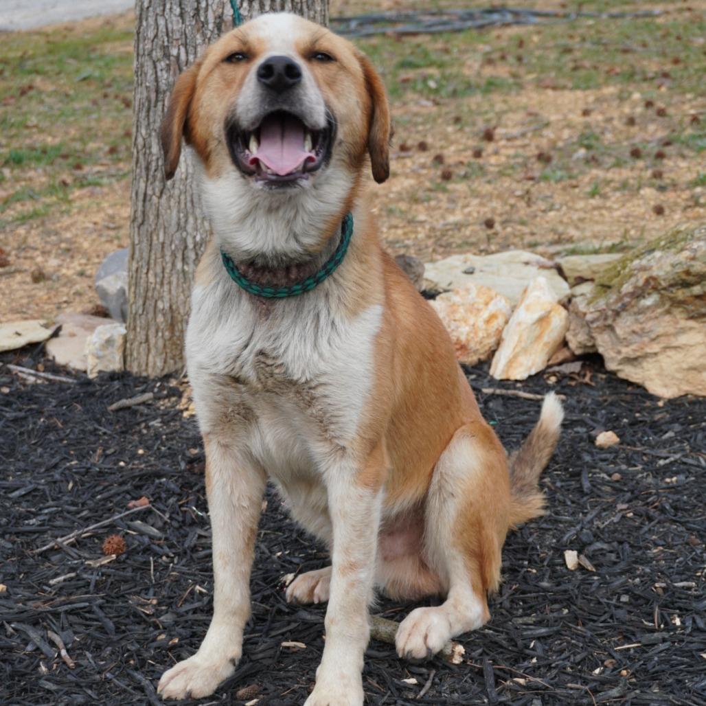 Morgan — thumbnail 4