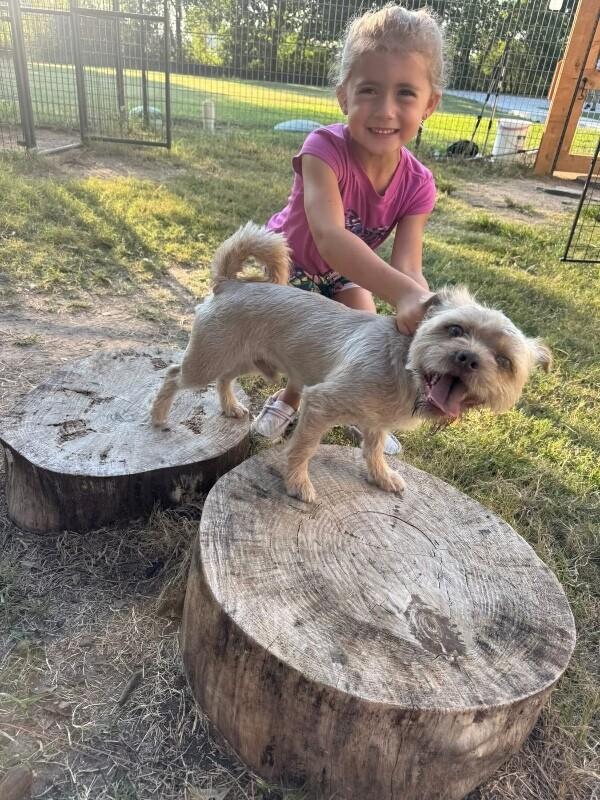 Tim Bits the tiny toy fiend