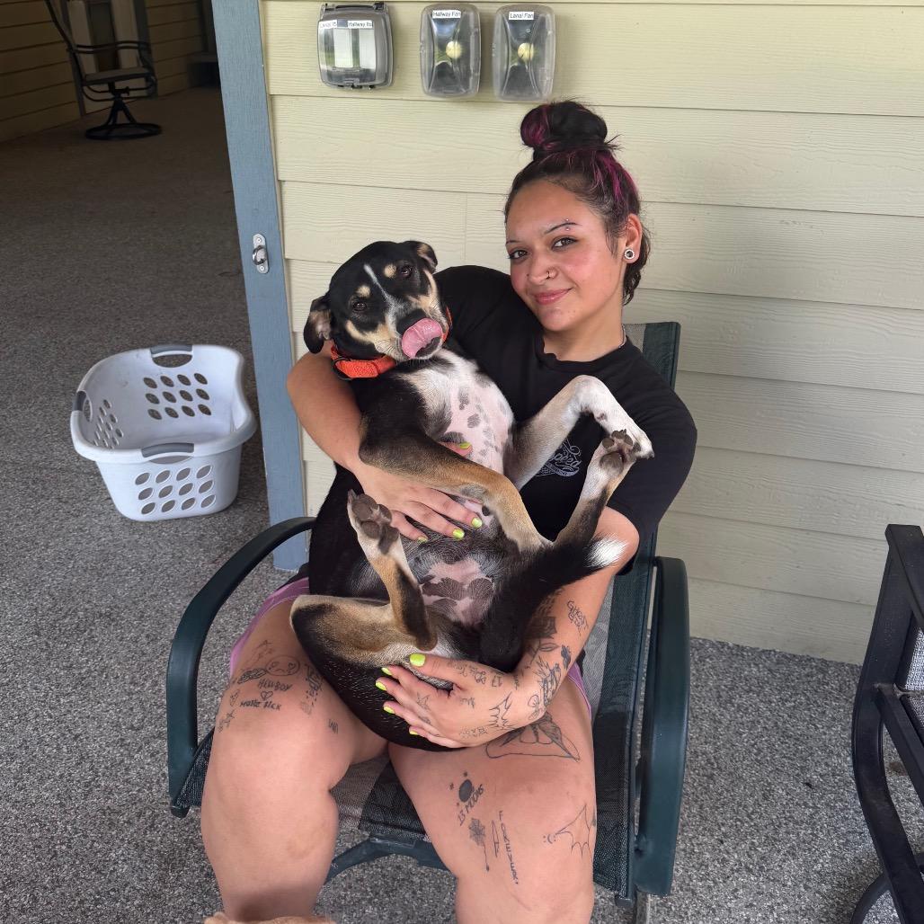 PIPER, a Adoptable mixed breed in Wellington, FL image 3/6