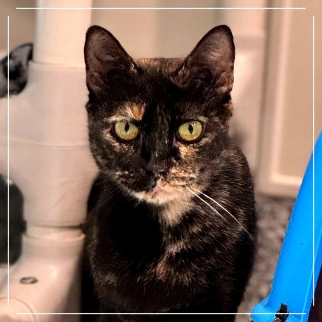 Natalya — thumbnail 2