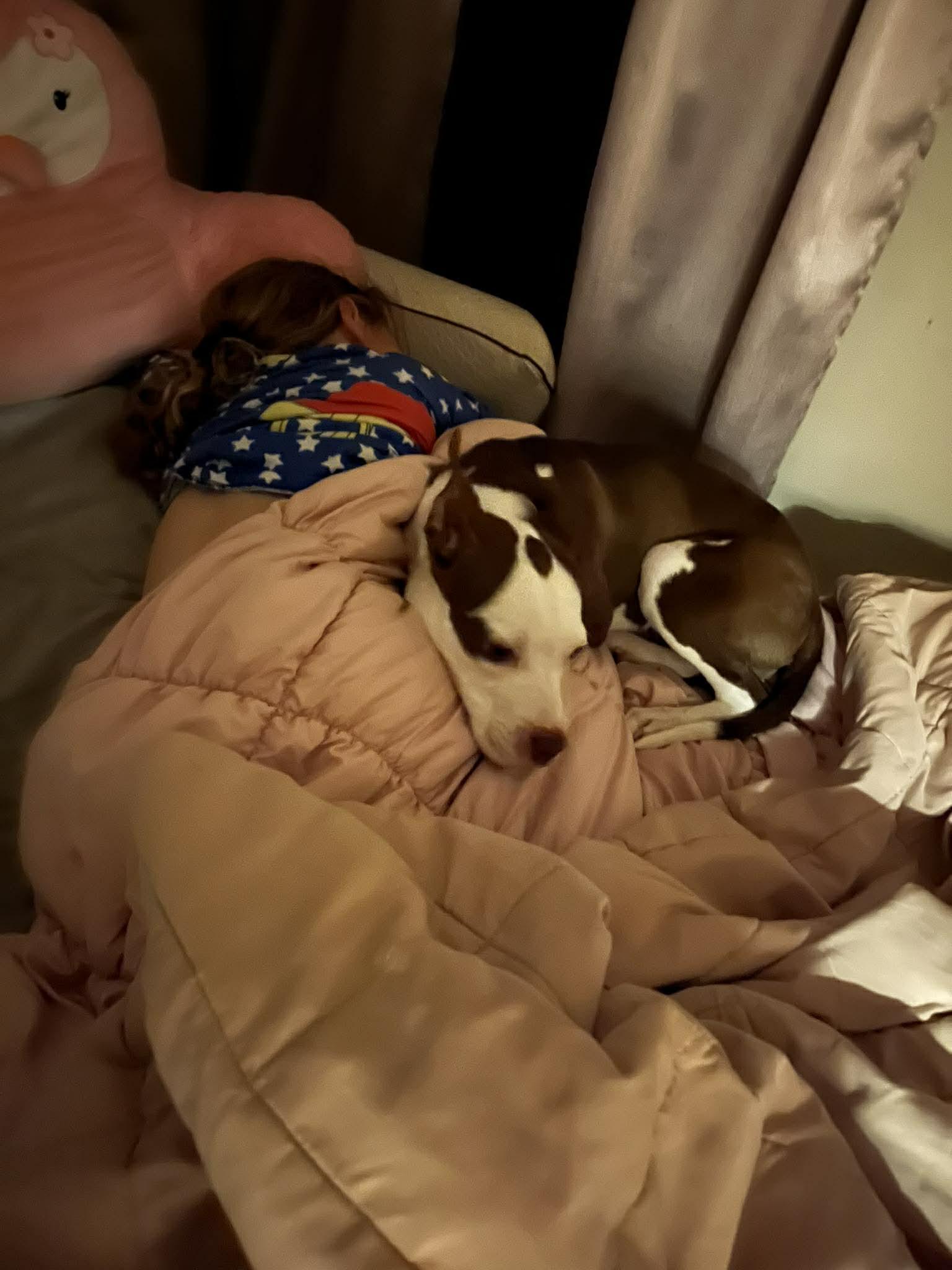 Daisy — thumbnail 2