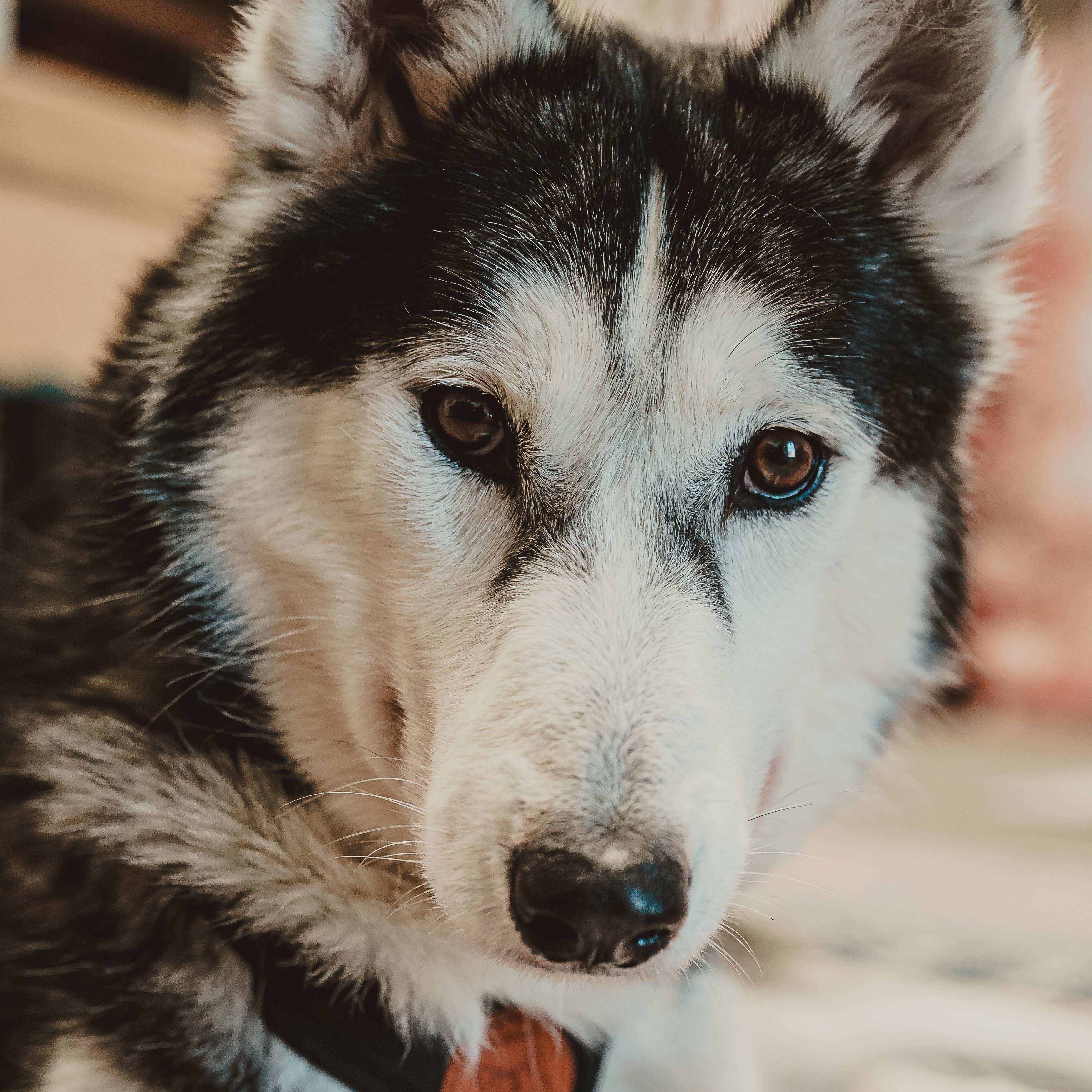 Colleen — thumbnail 2