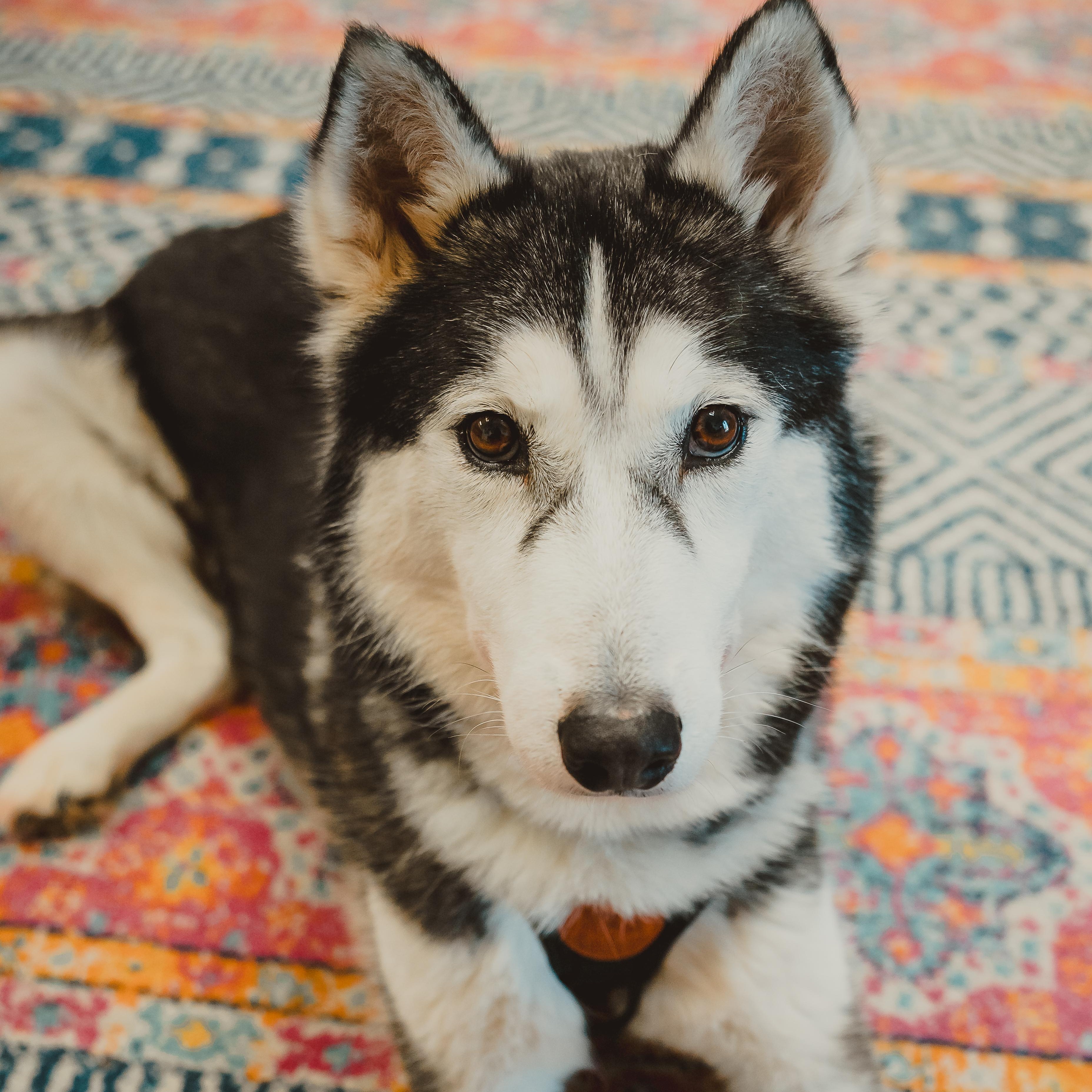 Colleen — thumbnail 5