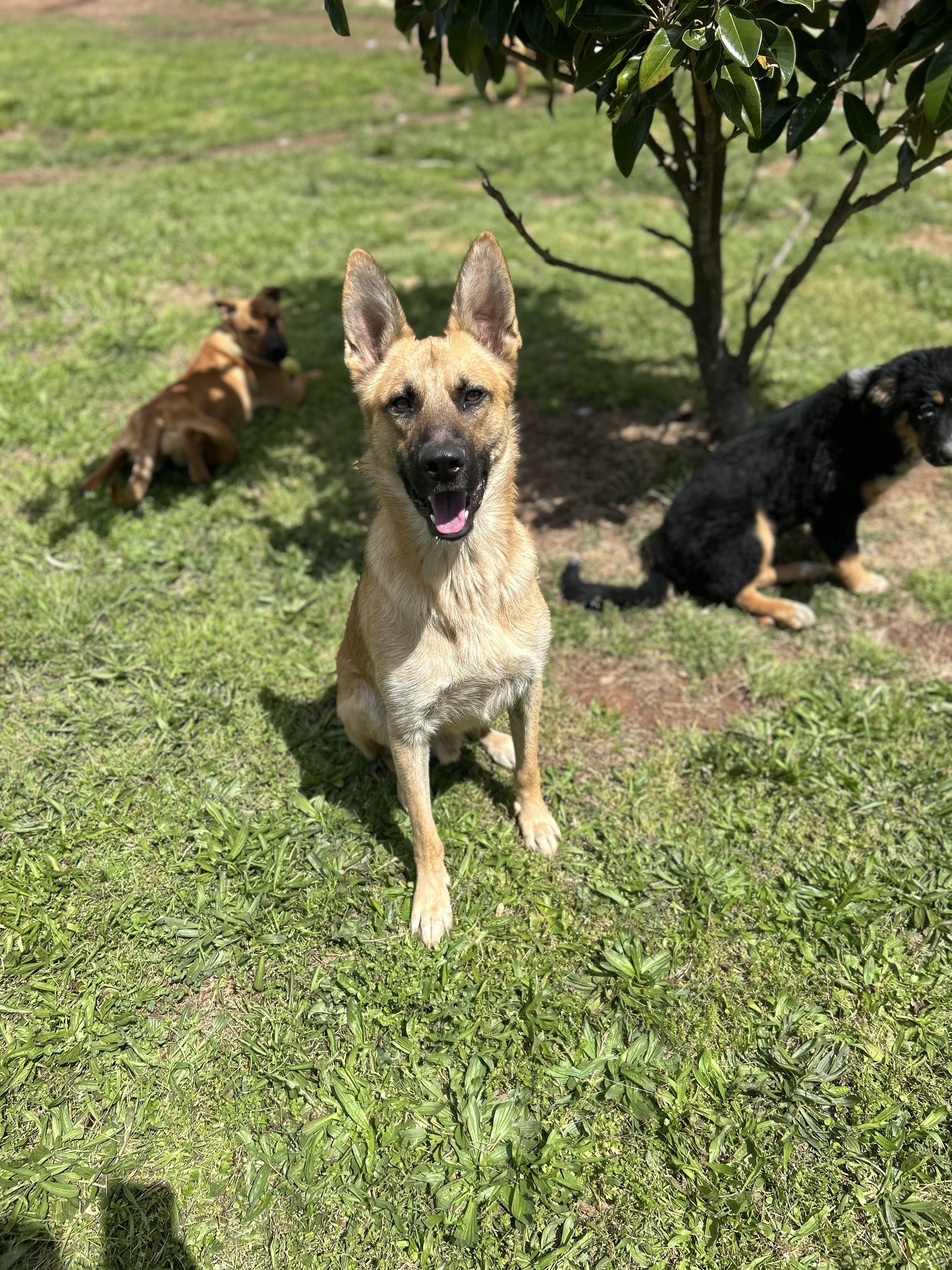 Diego
