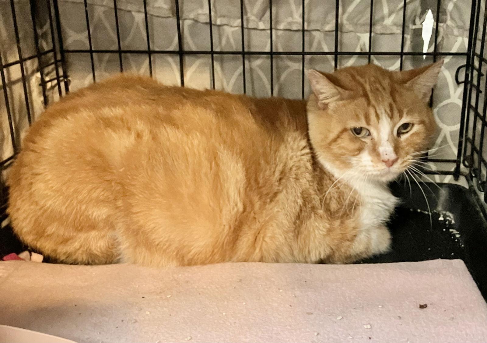 Marley — thumbnail 2