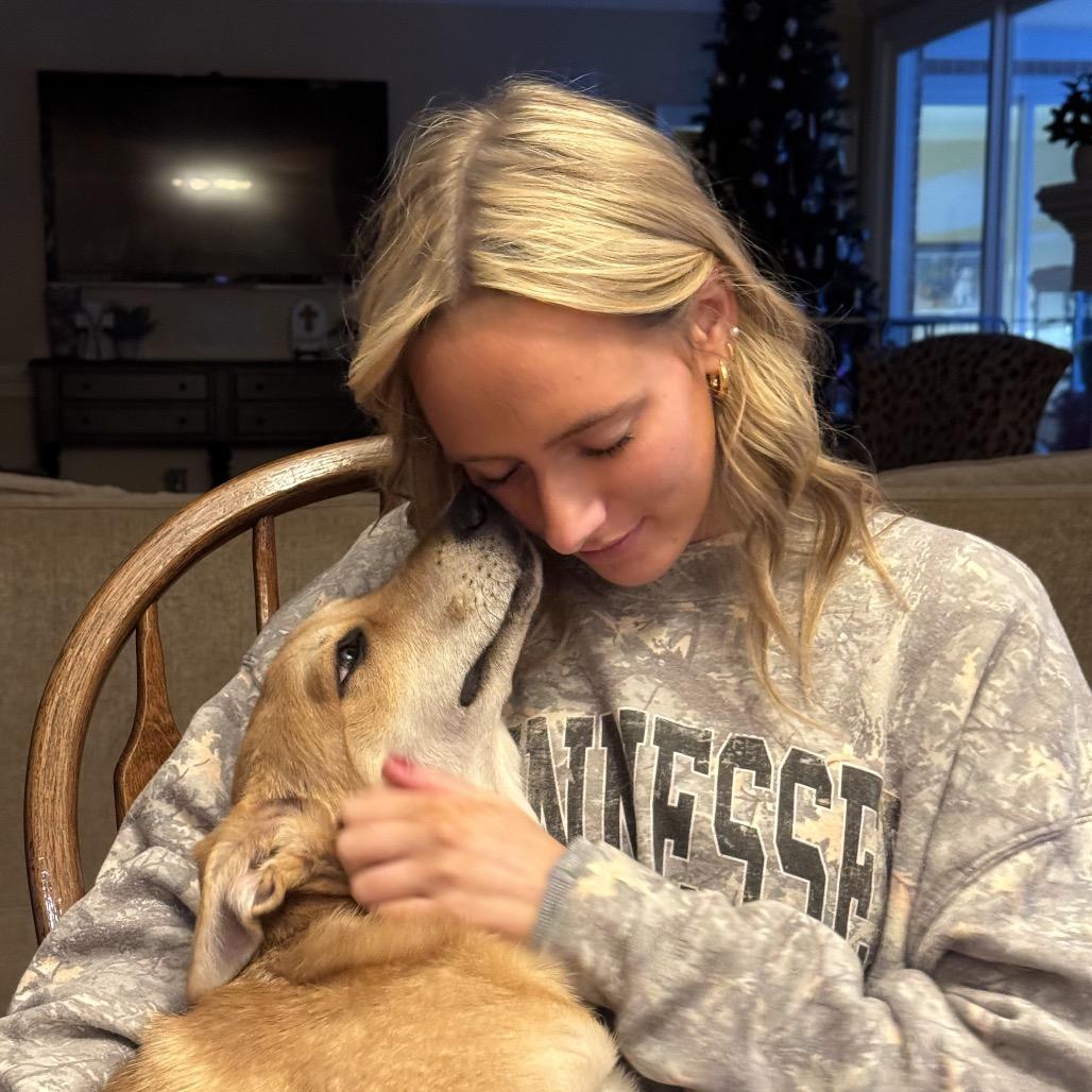 Maverick thumbnail 5