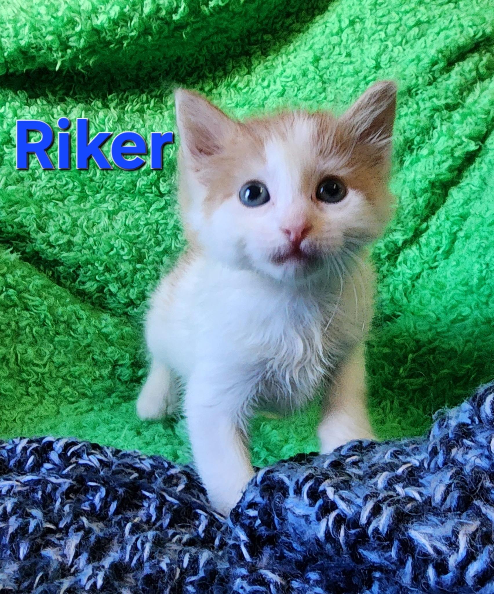 Riker