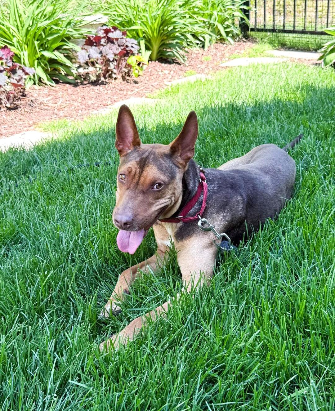 Buddy photo 2