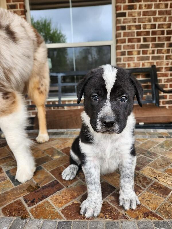 Galaxy Space — thumbnail 2