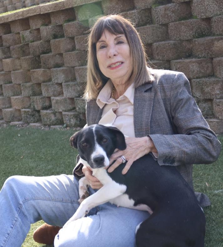 Lily Ann, ADOPTABLE, Young Female Rat Terrier.