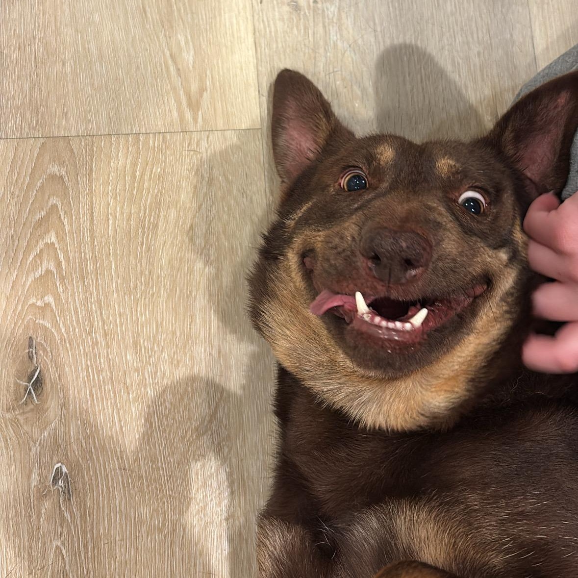 Rico — thumbnail 3