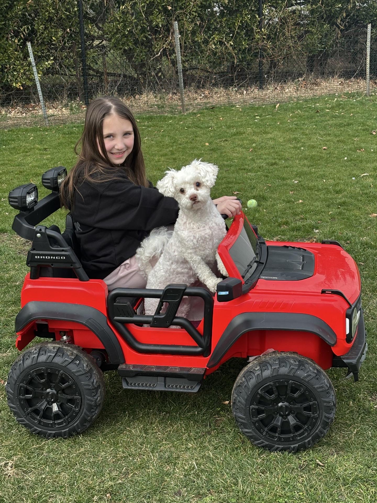 Enlarge Goose, a Adoptable mixed breed in Levittown, NY image 5/5