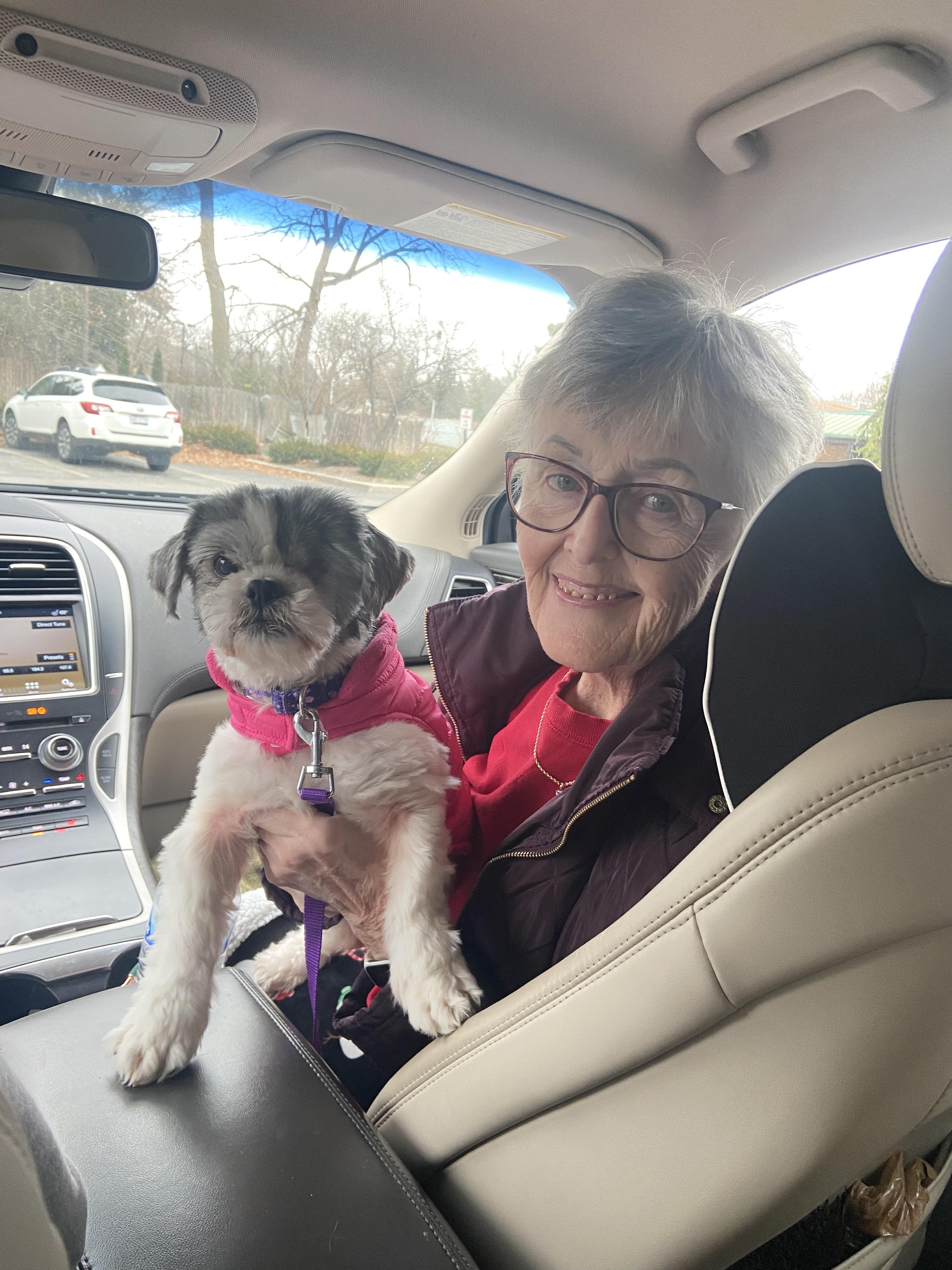 Enlarge Mya, a Adopted Shih Tzu in Wauseon, OH image 2/3