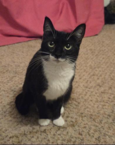 Star — thumbnail 2