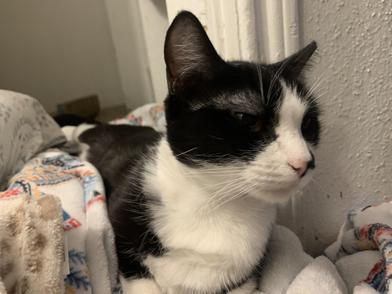 Charlie Avenue — thumbnail 2